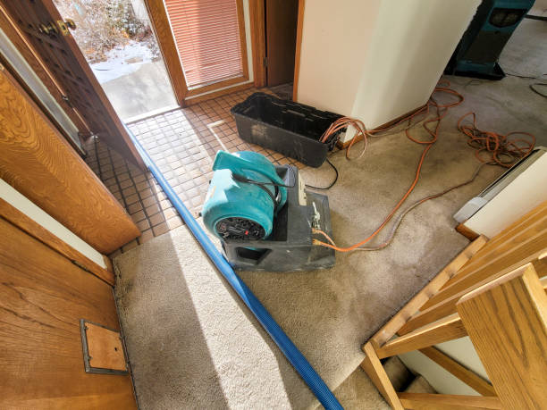 Best Carpet water damage restoration  in Cassville, MO