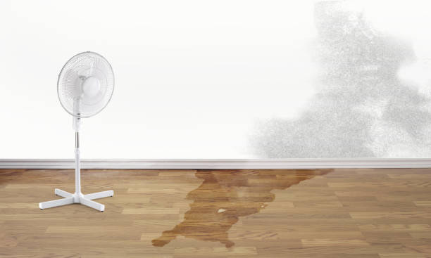 Best Flood damage cleanup  in Cassville, MO