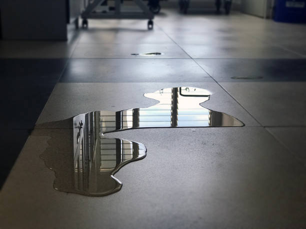 Best Professional water damage repair  in Cassville, MO
