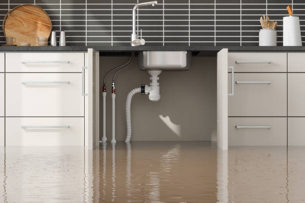 Best Commercial water damage restoration  in Cassville, MO