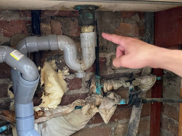 Best Fire Damage Restoration  in Cassville, MO