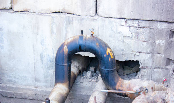 Best Carpet water damage restoration  in Cassville, MO
