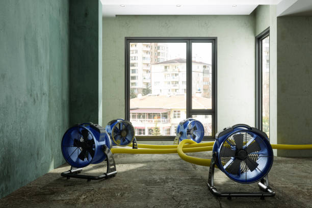 Best Sewage cleanup and water damage restoration  in Cassville, MO